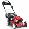 Toro 20334