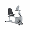 Vision Fitness Bike - Recumbent Replacement  For Model R1500 (RB133-Premier-RB132-EP249)(2009)