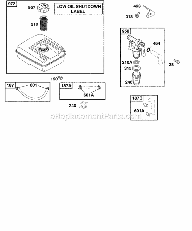 Briggs and Stratton 118437-0143-E1 Engine Fuel Supply Diagram