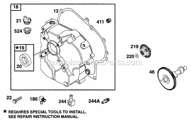 Briggs and Stratton 195432-1111-01 Engine Crankcase Cvr Cam Diagram