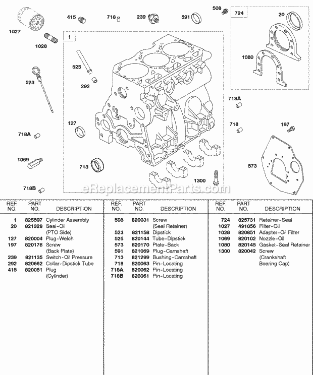 Briggs and Stratton 584447-0210-E2 Engine Cylinder Oil Filter Diagram