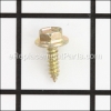 Briggs and Stratton Screw part number: 690367
