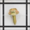 Briggs and Stratton Screw part number: 794845