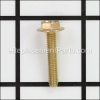 Screw - 699477:Briggs and Stratton