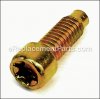 Briggs and Stratton Screw part number: 698941