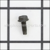 Screw - 699776:Briggs and Stratton