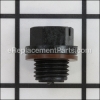 Hayward Drain Plug With Gasket part number: SPX1700FGV