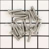 Hayward Standard Screw Set part number: SPX1090Z6A