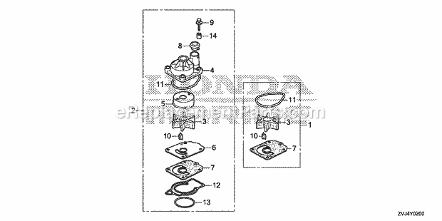 Honda Marine BF200D (Type XRA) Water Pump Impeller Set Diagram