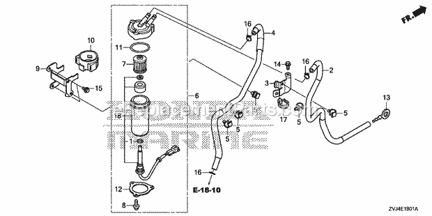 Honda Marine BF250D (Type LDS) Fuel Strainer Diagram