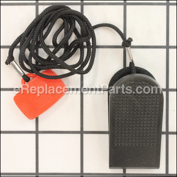 Safety Key Set - 051345-A:Horizon Fitness