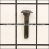 Karcher Screws