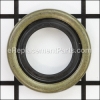 Classen Oil Seals