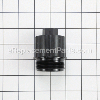 Cap Plug - 190030Z:Pentair