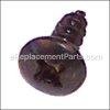 Porter Cable Screw part number: 488974-00