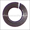 Porter Cable Lock Washer part number: 491957-00