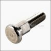 Waring Special Screw part number: 029369
